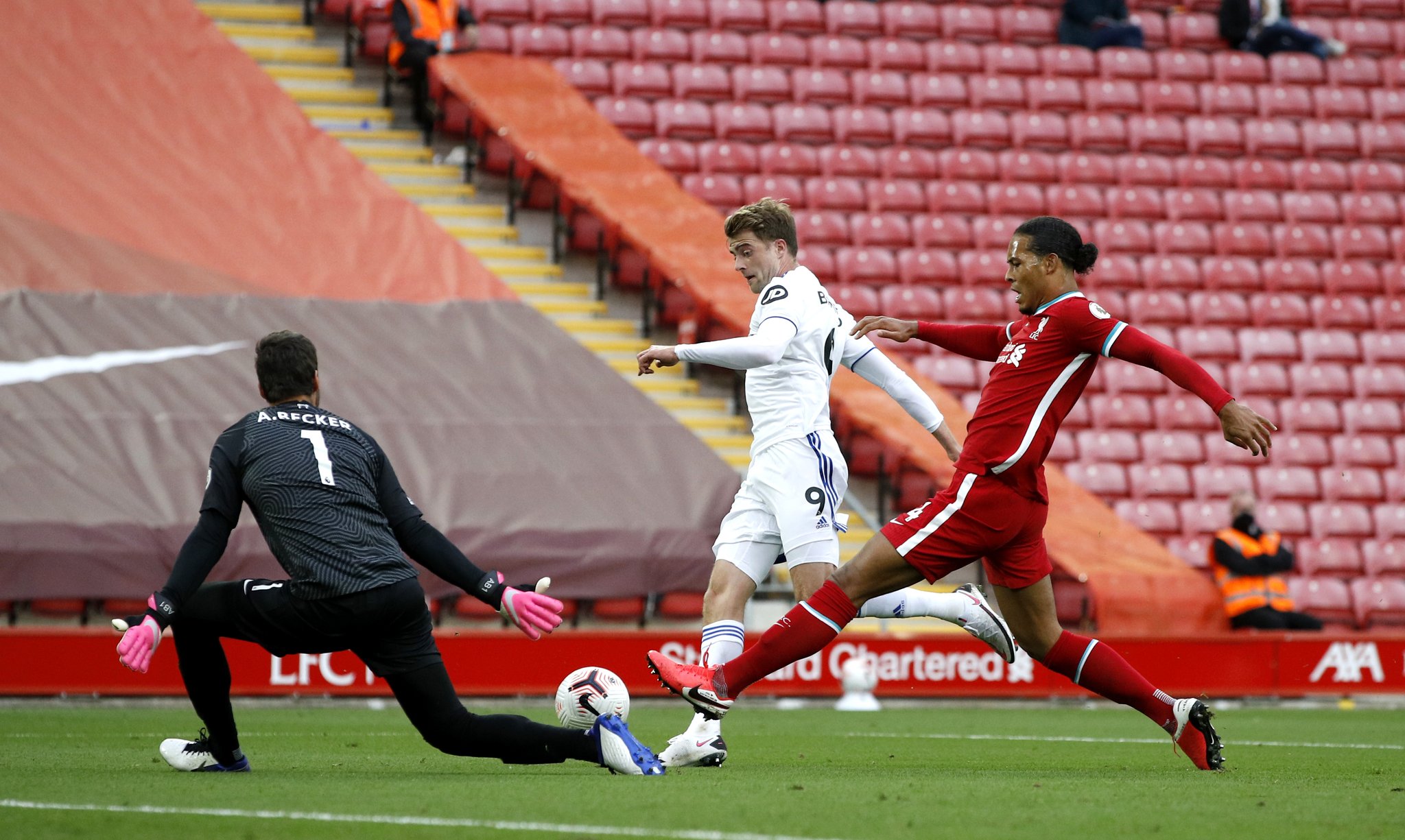 新的球员也 新的球员也